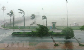 Bão số 3 rất mạnh, hai kịch bản có thể xảy ra