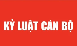 Vụ Tập đoàn Thuận An: TPHCM thi hành kỷ luật nhiều cán bộ 