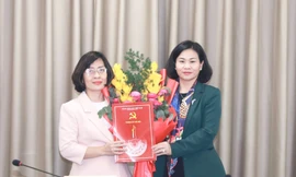 Điều động, luân chuyển, bổ nhiệm cán bộ chủ chốt ở Hà Nội và 11 tỉnh