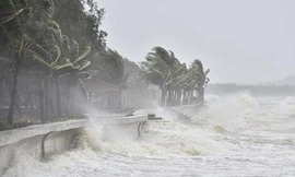 Bão số 2 cách đất liền Hải Phòng, Nghệ An 130km, gió giật cấp 10