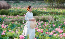 Đẹp mê hồn cánh đồng sen nổi tiếng xứ Quảng