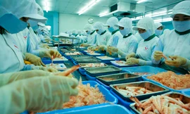 Có thể tăng tuổi nghỉ hưu từ năm 2021