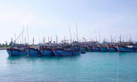 Phó Thủ tướng Lê Văn Thành chủ trì cuộc họp về phòng, chống bão Rai 