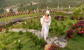 Ngọc Trinh 'nổ' mua 11ha đất và chiêu trò gắn mác người nổi tiếng thổi giá bất động sản