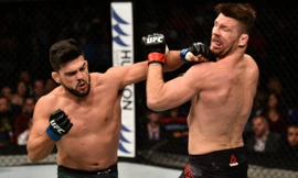 Michael Bisping (phải) đổ gục sau khi dính cú đòn này.
