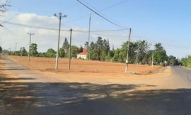 Một phó chủ tịch huyện bị khởi tố vì cho phép chuyển đổi đất trái quy định