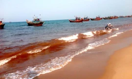 Vệt nước ven biển chuyển màu đỏ