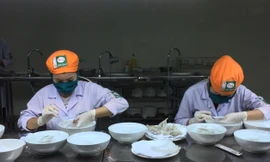 Nhân viên đang sơ chế tổ yến nuôi