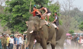 Nhiều ý kiến cho rằng ngữ liệu SGK tập 2, lớp 3 sai thông tin thực tế. 