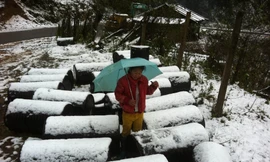 [CẬN CẢNH] Tuyết phủ trắng đỉnh đèo ở Sa Pa