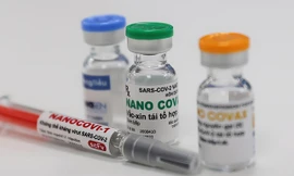 Hôm nay xem xét cấp phép vắc-xin Việt Nam Nano Covax