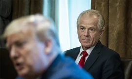 Tù vì khinh thường 