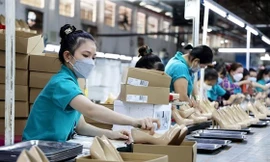 Phụng sự doanh nghiệp, thay đổi văn hóa 'đi xin, đi chạy'