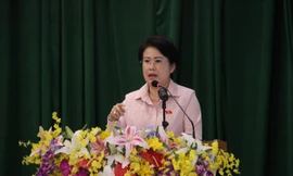 Bà Phan Thị Mỹ Thanh.