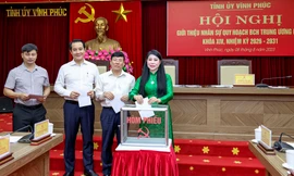 Nhiều tỉnh giới thiệu nhân sự quy hoạch Ủy viên Trung ương khóa mới