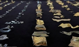 Phát hiện 'kho báu' chiến binh cực quý