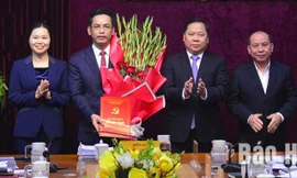 Công bố quyết định của Ban Bí thư về công tác cán bộ