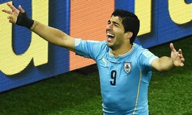 Luis Suarez: Khi 'quái vật' được đánh thức