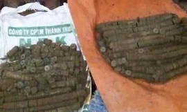 Loại tiền người dân xã Quỳnh Châu phát hiện. Ảnh: CTV. 