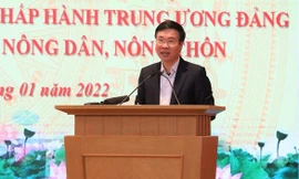 Nông sản phải được mong chờ đặt hàng chứ không phải chờ đợi để 'giải cứu'