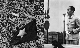 Tìm kiếm hòa bình trong phim chiến tranh 