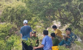 Kinh hãi phát hiện bộ xương người trong vườn cà phê