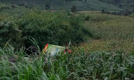 Tin mới vụ Trạm Phó kiểm lâm bị bắn tử vong ở bìa rừng 