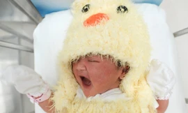 Trẻ sơ sinh mặc đồ con gà đón Tết tại bệnh viện Thái Lan