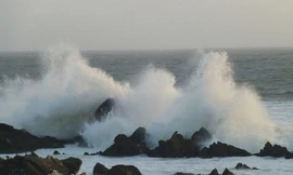 Xuất hiện vùng áp thấp trên biển Đông, gió giật cấp 7