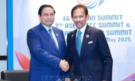 Quốc vương và Hoàng hậu Brunei sẽ thăm Việt Nam trong năm nay