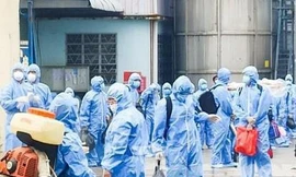 Bình Dương có số bệnh nhân COVID-19 xuất viện trong ngày cao kỷ lục