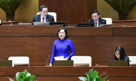 Thống đốc Nguyễn Thị Hồng: 'Nợ xấu đang có xu hướng gia tăng'