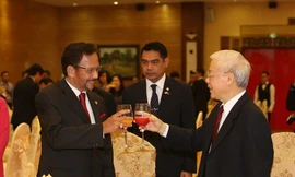 Hình ảnh Tổng Bí thư, Chủ tịch nước chiêu đãi Quốc vương Brunei