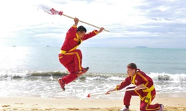 Võ cổ truyền Bình Định thể hiện rõ tính liên hoàn, tinh tế, uyên thâm, kết hợp nhuần nhuyễn giữa cương và nhu, giữa công và thủ, giữa mạnh và yếu, giữa bên trong (tinh, khí, thần) với bên ngoài cơ thể (thủ, nhãn, chỉ và thân).