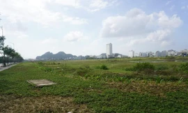 Khu đất rộng hơn 12ha liên quan đến vụ kiện. 