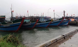 Ngư dân ven biển TT-Huế chủ động di dời ghe thuyền đến nơi cao an toàn.
