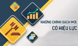 Nhiều chính sách mới có hiệu lực từ tháng 2/2025
