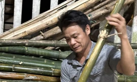 Ngư dân tố bảo hiểm thoái thác trách nhiệm 