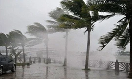 Bão số 9 sắp vào biển Đông, cấp tốc họp bàn cách ứng phó 