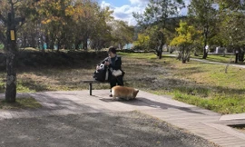 Cuộc sống trong vỏ ốc ở Nhật Bản 