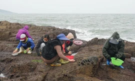 Mưu sinh bên 'miệng thủy thần' 