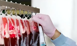 Thủ tướng Anh Sunak cúi đầu xin lỗi quốc dân