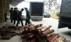 Tang vật của vụ việc