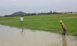 Hiện trường vụ hai anh em Quân và Phương chết đuối sáng nay. 