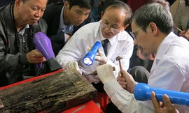 Các chuyên gia tiến hành cạo lớp sơn trong tấm ván địa của quách nghi đựng thi hài Trạng trình Nguyễn Bỉnh Khiêm và phát hiện chiếc thẻ tre. Ảnh: PGS.TS Nguyễn Lân Cường. 