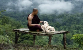 Phim chữa lành có thầy tu '6 múi' 