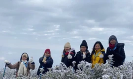 Không khí lạnh mạnh tràn về miền Bắc, nền nhiệt giảm sốc 