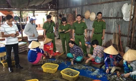 Lực lượng chức năng bắt quả tang hành vi bơm tạp chất vào tôm nguyên liệu