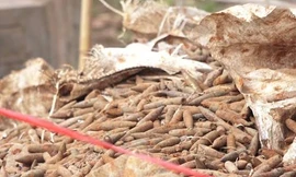 Lạnh người với hơn 2 tấn đầu đạn trong vườn nhà dân