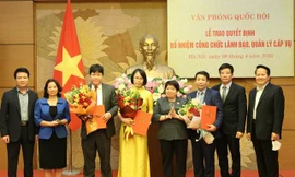 Bổ nhiệm công chức lãnh đạo, quản lý cấp Vụ 
